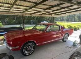 Ford Mustang FASTBACK GT