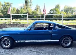 Ford Mustang Fastback SHELBY GT 350 Célébration Code A