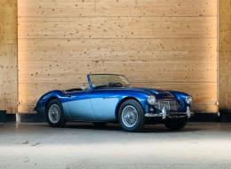 Austin Healey 100 / 6 BN1