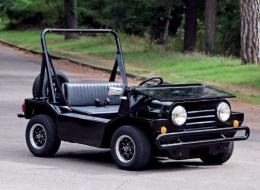 Mini moke Schmitt