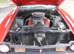 Ford Mustang V8