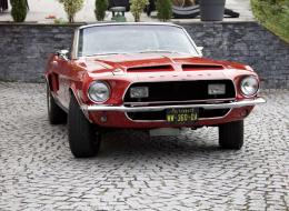 Shelby GT 500 Convertible