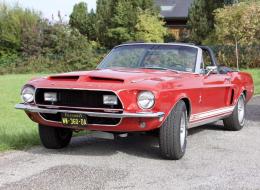Shelby GT 500 Convertible