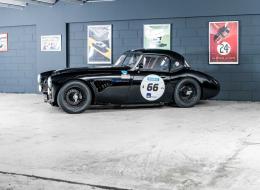Austin Healey 3000 FIA Specs GTS12