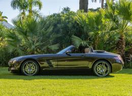 Mercedes-Benz SLS 6.3 AMG Roadster