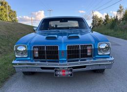 Oldsmobile Omega