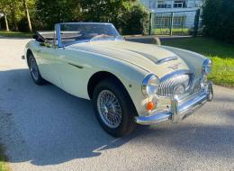 Austin Healey 3000 MK3 BJ8