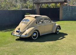 Volkswagen Coccinelle Zwitter replica