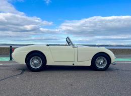 Austin Healey Sprite Frogeye
