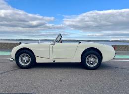 Austin Healey Sprite Frogeye