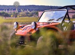 Buggy VW SOVRA LM1 