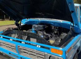 Ford Pick-up F-100 Custom