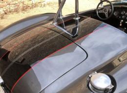 AC Cobra Replica Shell Valley