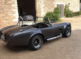 AC Cobra Replica Shell Valley