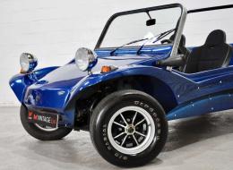 Buggy Apal Modèle L