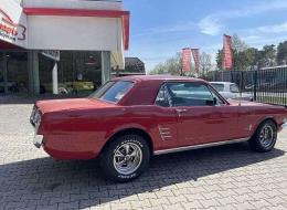 Ford Mustang V8 Coupé
