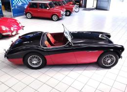 Austin Healey 100 - 4 BN2