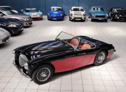 Austin Healey 100 - 4 BN2