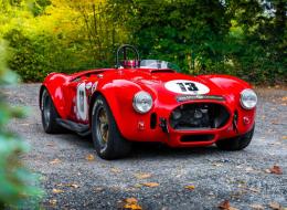 AC Cobra 427 HTM ( High Tech Motorsport )