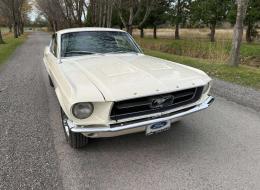 Ford Mustang V8 Fastback