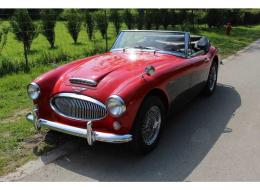 Austin Healey 3000