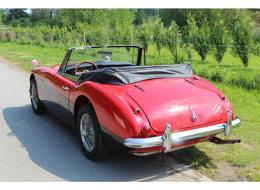 Austin Healey 3000