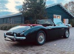 Austin Healey 100 / 6