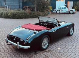Austin Healey 100 / 6