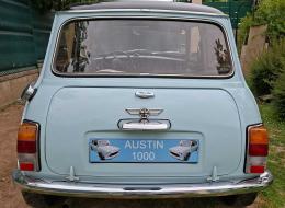 Mini 1000