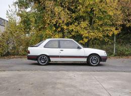 Peugeot 309 GTI                                      