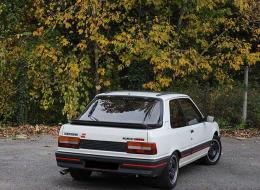 Peugeot 309 GTI                                      