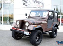 Jeep CJ 5 Renegate 4.2 L