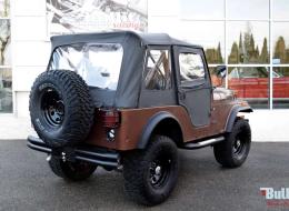 Jeep CJ 5 Renegate 4.2 L