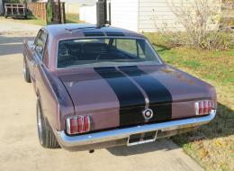 Ford Mustang GT350 Tribute