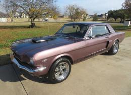 Ford Mustang GT350 Tribute