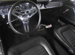 Ford Mustang GT350 Tribute