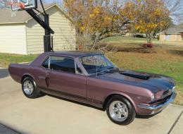 Ford Mustang GT350 Tribute