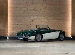 Austin Healey 100 / 6 BN4
