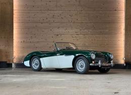 Austin Healey 100 / 6 BN4