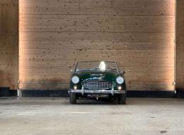 Austin Healey 100 / 6 BN4