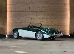Austin Healey 100 / 6 BN4
