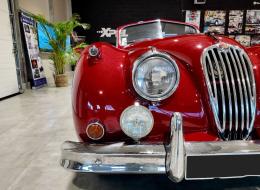 Jaguar Série - XK 140 DHC