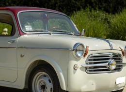 Fiat 1100 Fiat 1100 1954 1100/103 TV