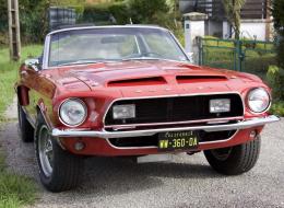 Shelby GT 500 Cabriolet