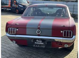 Ford Mustang V8 Coupé FIA