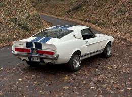 Shelby GT 360 Fastback