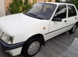 Peugeot 205 Sacr&eacute; Num&eacute;ro 