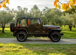 Jeep Wrangler YJ Laredo 4.0 L