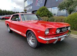 Ford Mustang V8 Coupé options GT