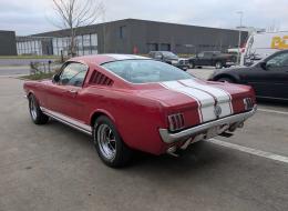 Ford Mustang V8 Fastback